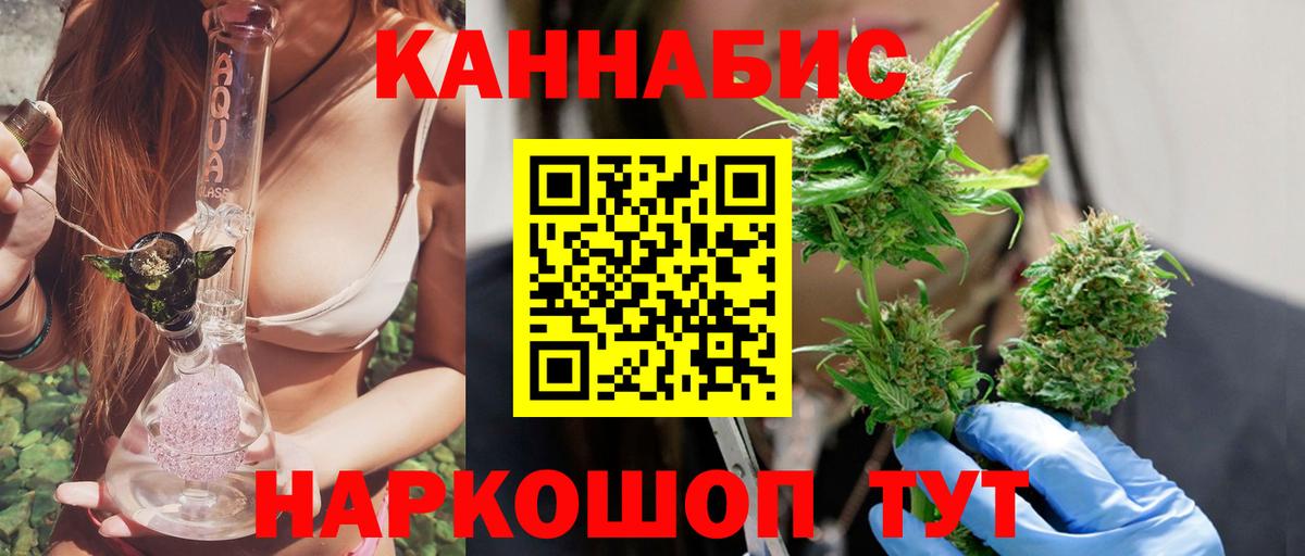 Бошки Шишки планчик Кандалакша